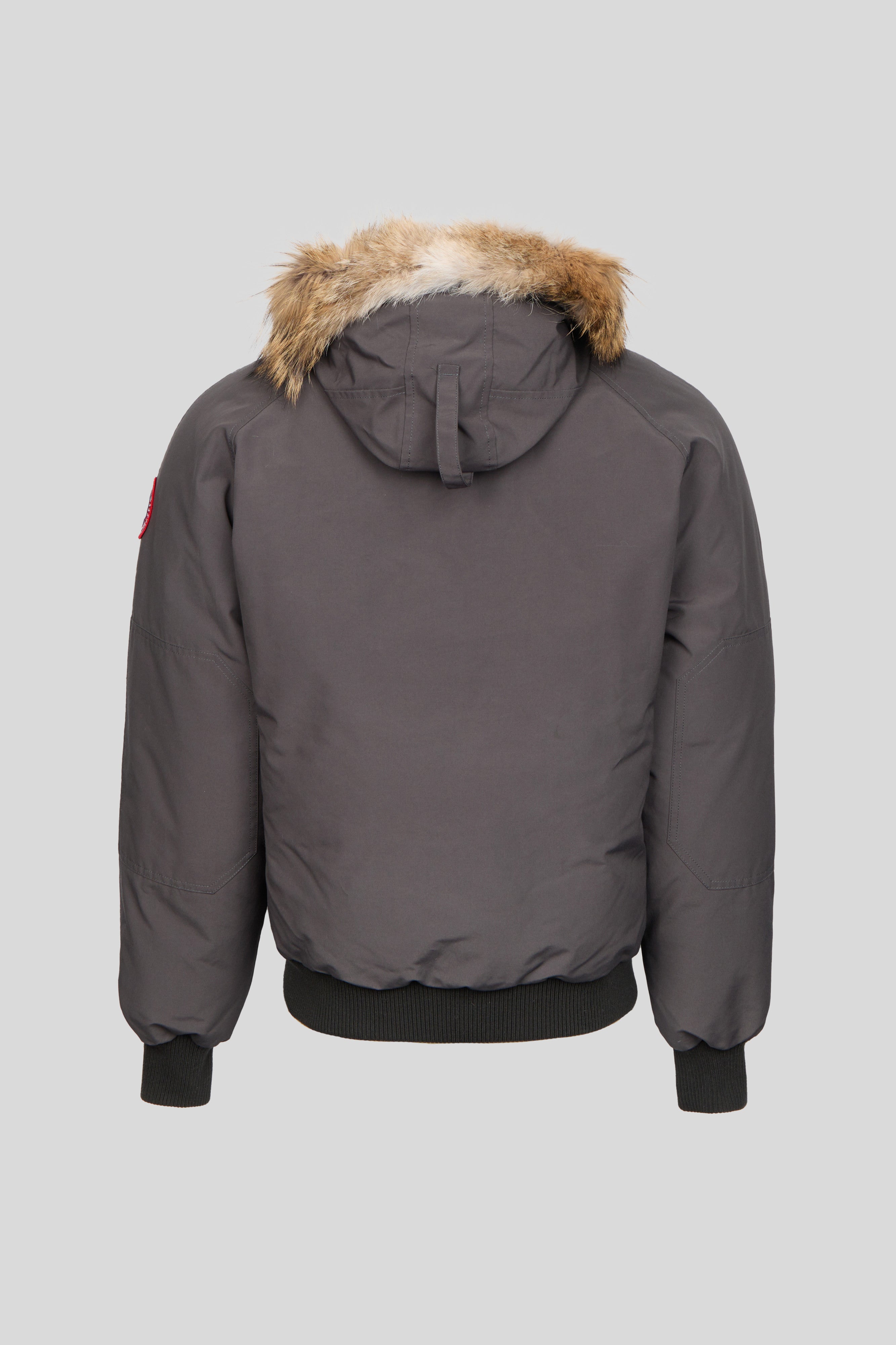 秋前値下げ カナダグース Labradorbomber M 秋前値下げ カナダグース Labradorbomber M Amazon.co.jp