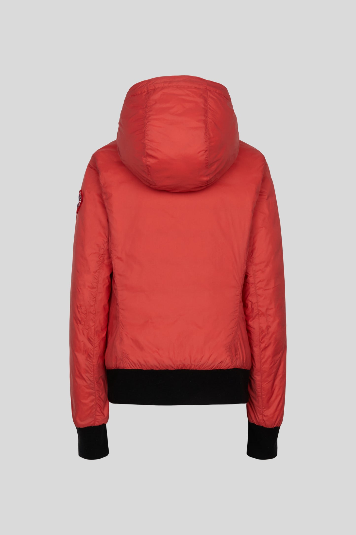 Women's Dore Down Hoody