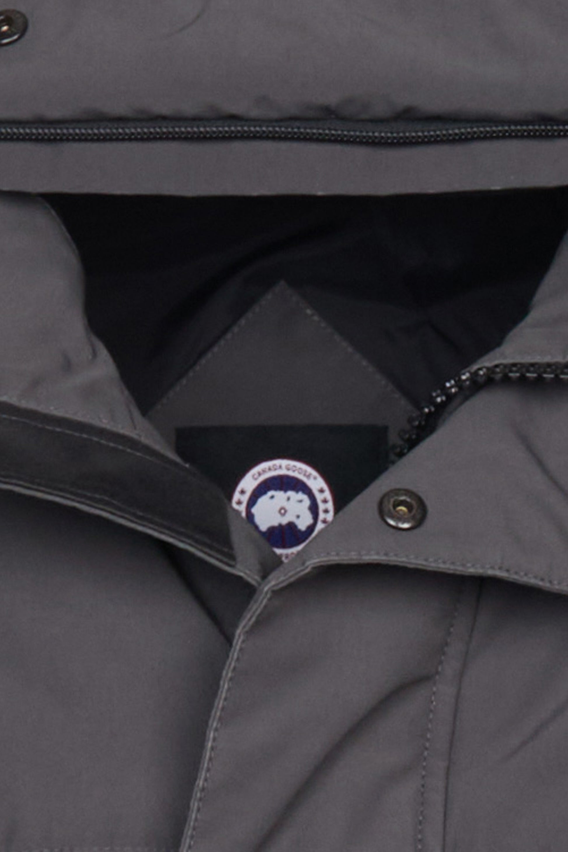 detail